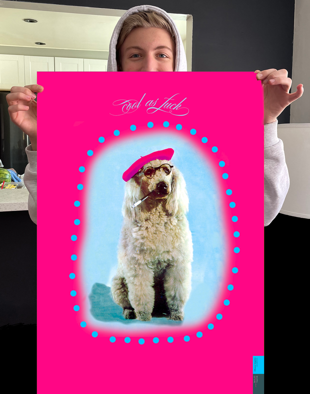 GF11 PINK POODLE - Offensive+Delightful Cards