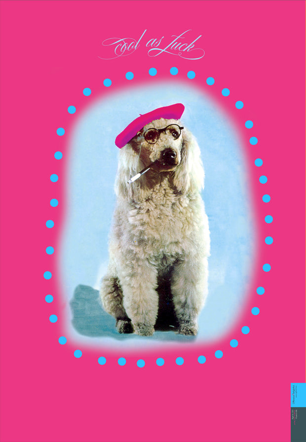 GF11 PINK POODLE - Offensive+Delightful Cards