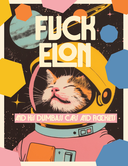 FUCK ELON and his ROCKETS