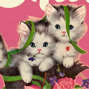 SHIT! kittens funny greeting card