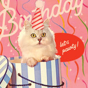 LET'S PAWTY cat birthday card