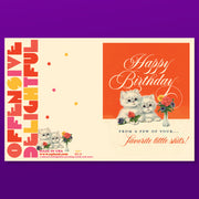 LITTLE SHITS! kittens birthday card
