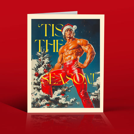 TIS THE SEASON HOT GUY christmas card