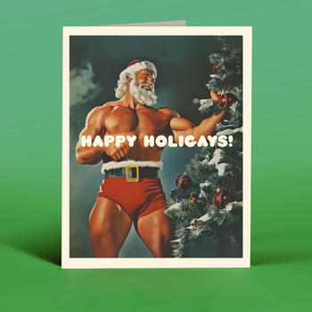 HAPPY HOLIGAYS! christmas card