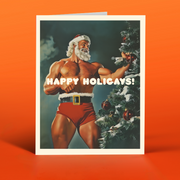 HAPPY HOLIGAYS! christmas card