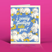 LIKE YOU KITTENS! love card