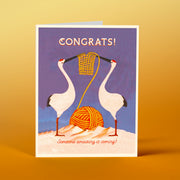 BB02 Storks Congrats - Offensive+Delightful Cards